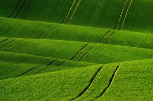 landscape-3383759_1280.jpg Image
