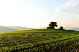 landscape-3741871_960_720.jpg Image